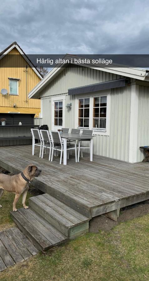Villa Sus & Dus Yngsjö Eksteriør bilde